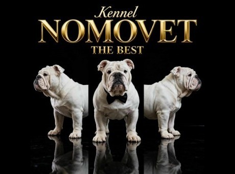 1 obnovalj1025.jpg